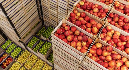 چه عواملی در موفقیت صادرات کشاورزی ایران تاثیر دارد ؟