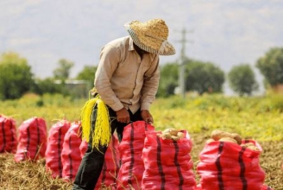 کلید طلایی رشد اقتصادی و ارزآوری