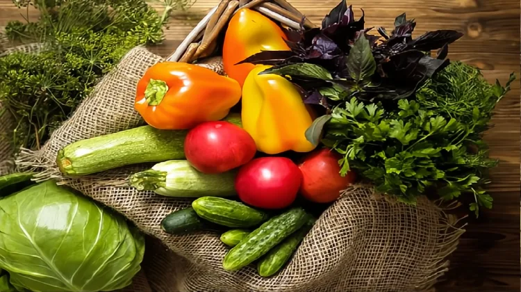 از مزرعه تا صادرات | تضمین کیفیت صادقی