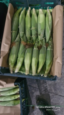 حمل‌ونقل و امور صادرات