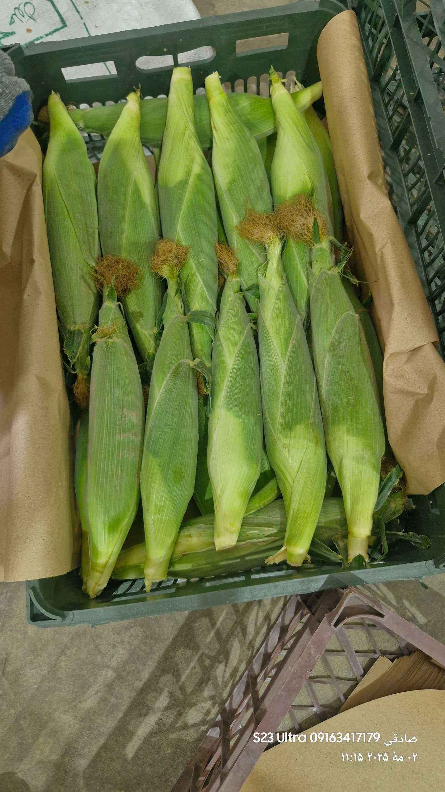 تجربه و مهارت در خدمات کشاورزی و باغداری