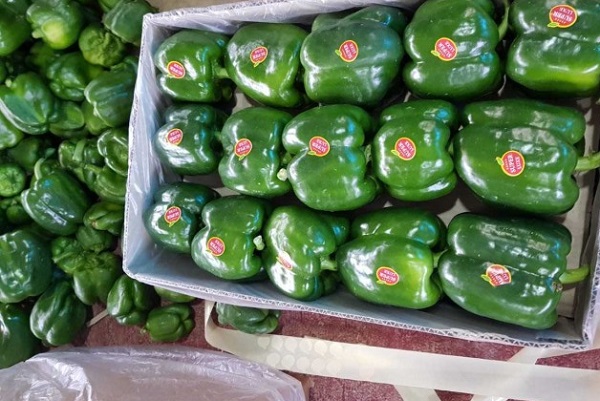 کدام کشورها مقصد اصلی تولیدات کشاورزی ایران هستند؟