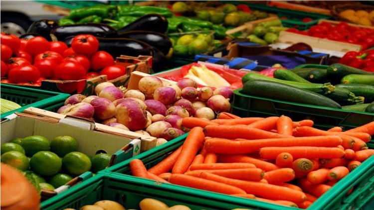 محصولات درجه یک | صادرات صیفی جات