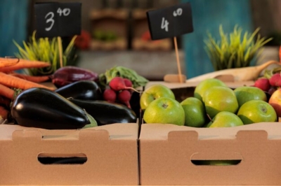 تأمین و خرید تولیدات کشاورزی